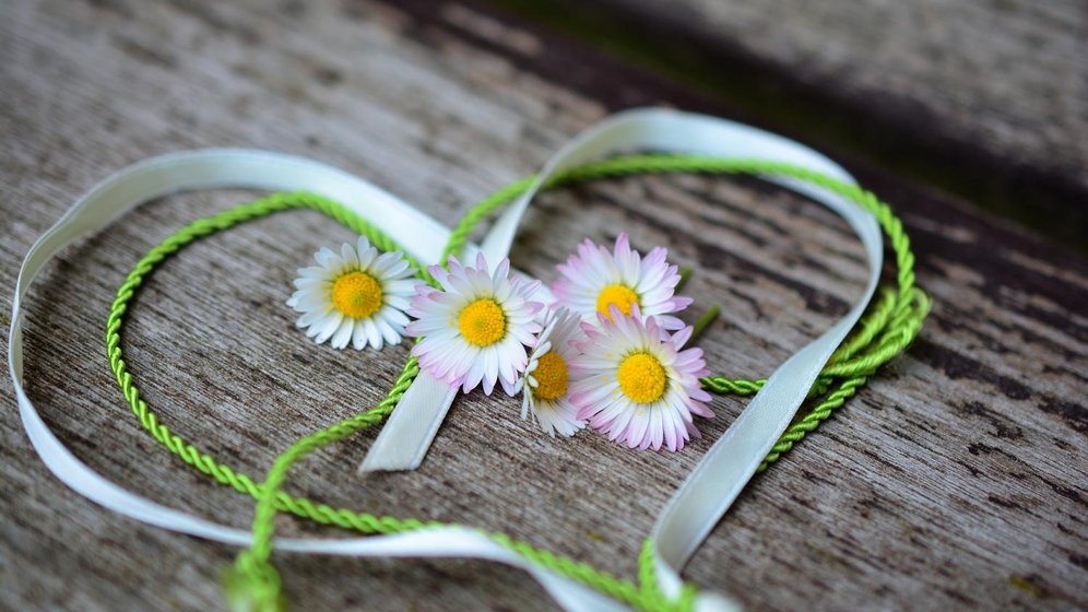 valentinstag-daisy-339congerdesign_cc0-gemeinfrei_pixabay_pfarrbriefservice